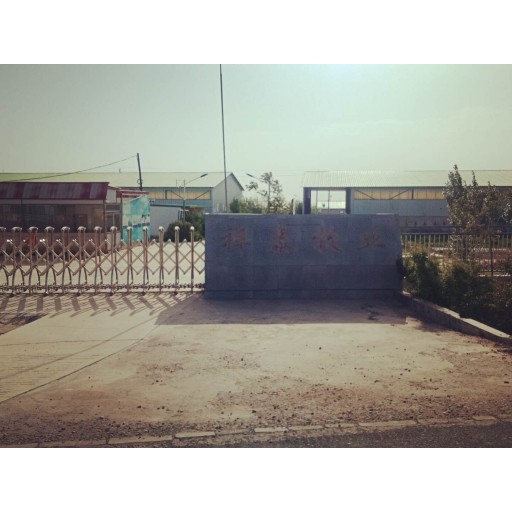 Beef and chicken farm