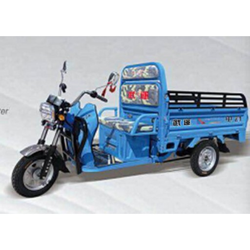 TM Electric tricycle